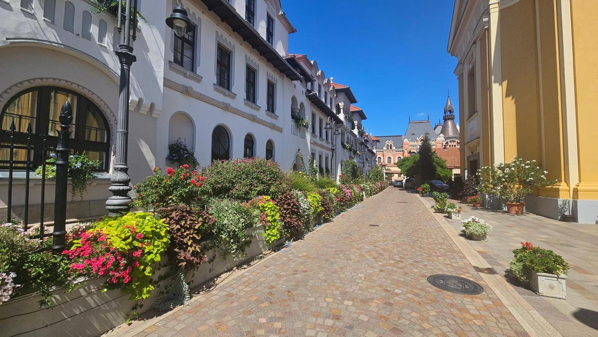 Piata Unirii - Yulia's Ultra-central Retreat Apartment Oradea